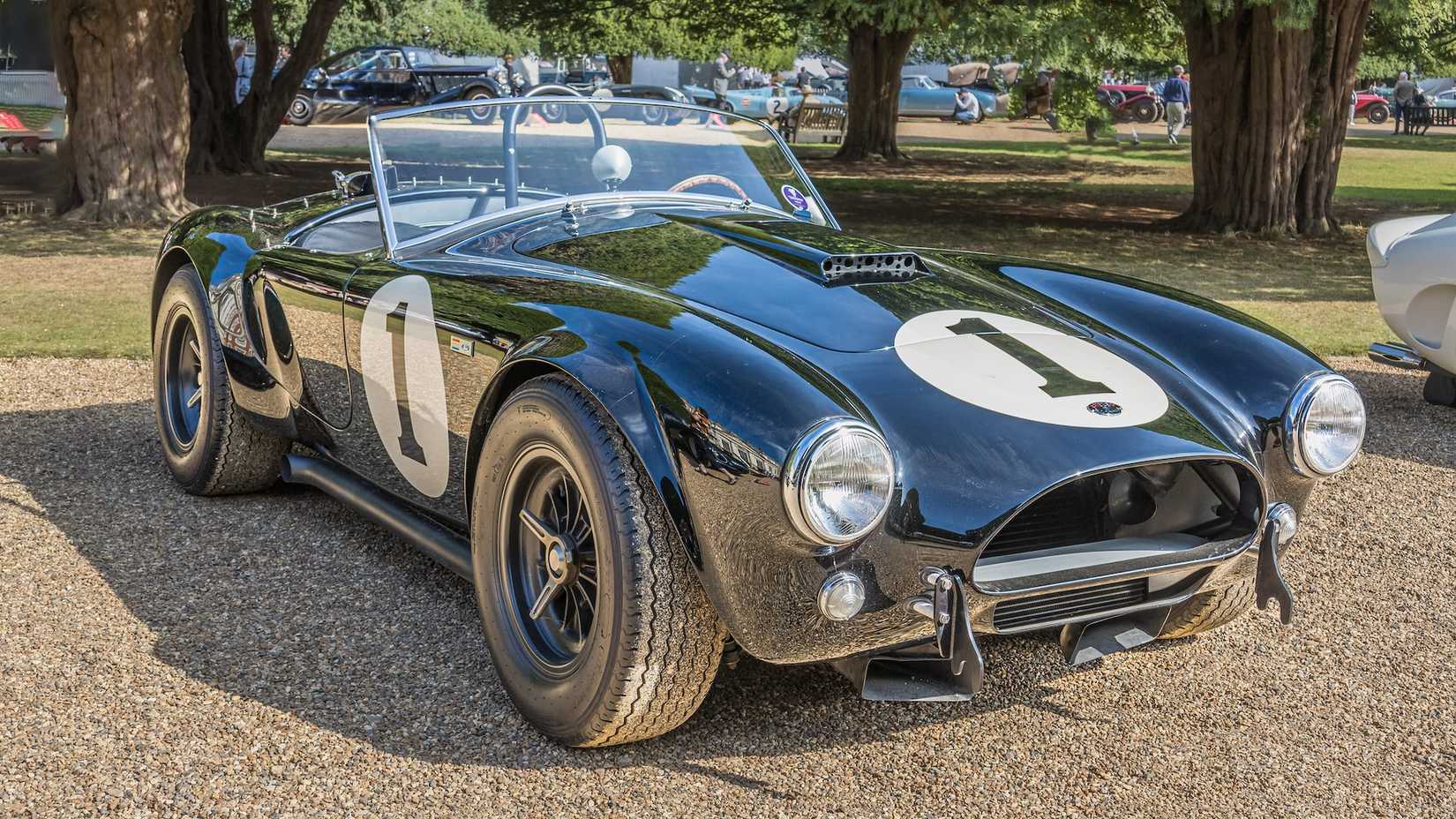 7 Predatory 1960s Muscle Cars Named After Dangerous Animals